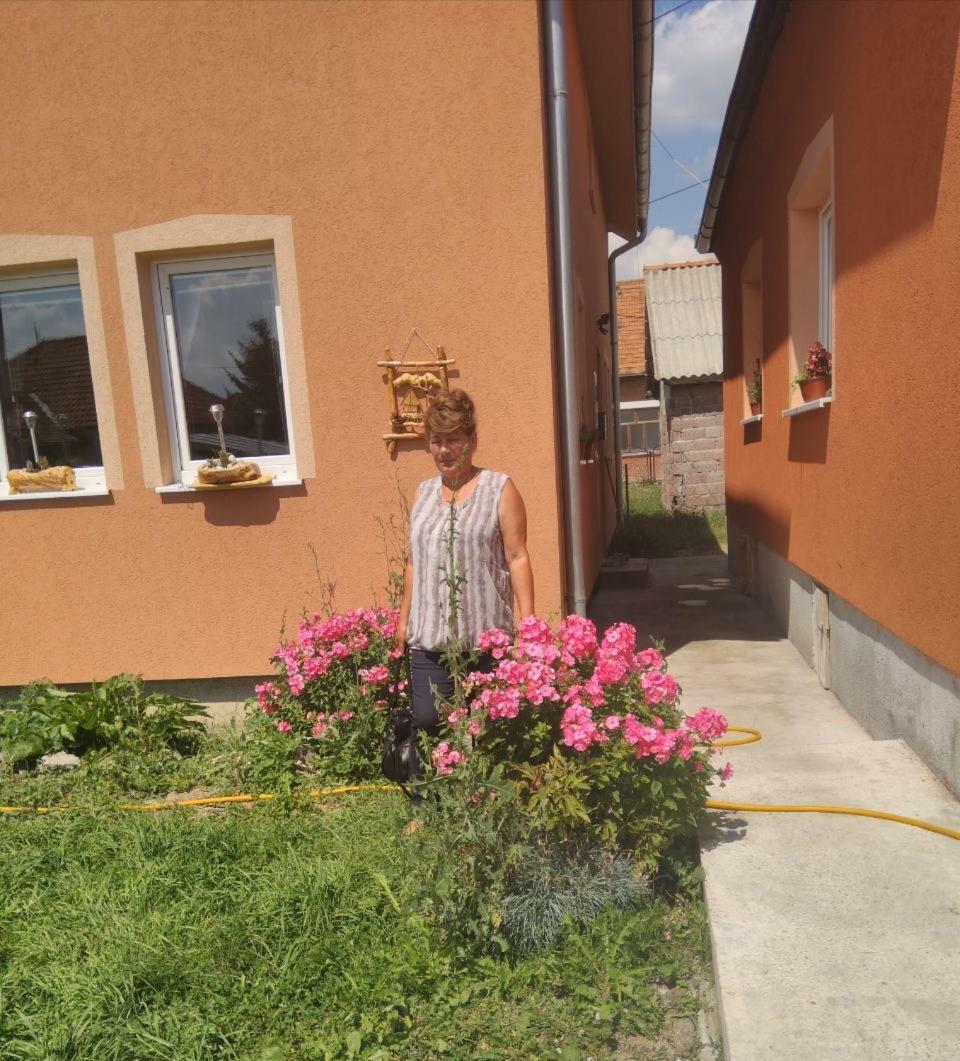Apartmani ,,Bato,, Sjenica Exterior photo
